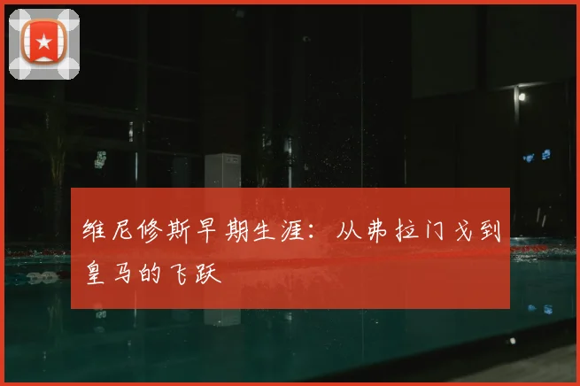 维尼修斯早期生涯:从弗拉门戈到皇马的飞跃