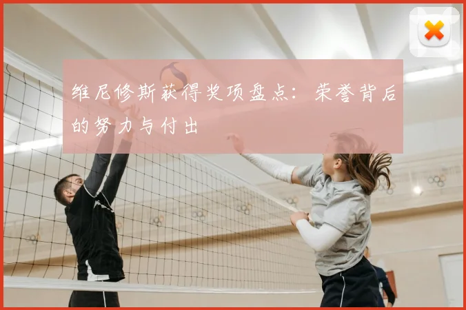 维尼修斯获得奖项盘点:荣誉背后的努力与付出