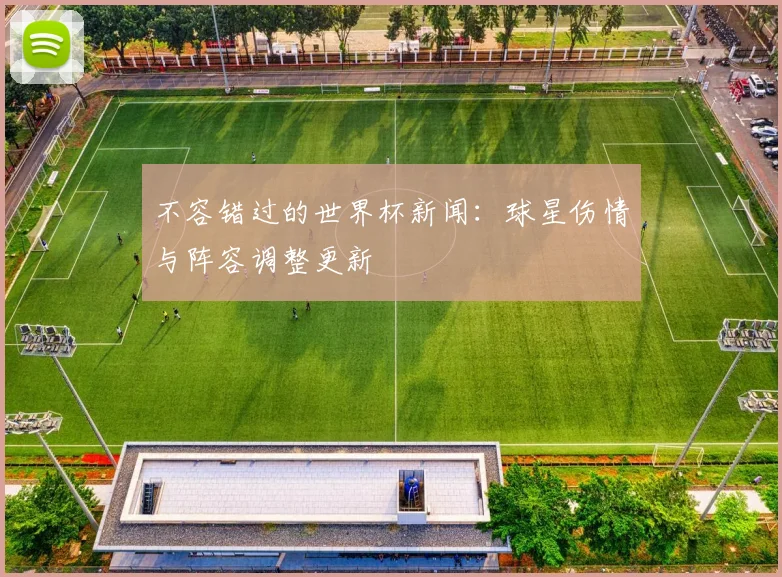 不容错过的世界杯新闻:球星伤情与阵容调整更新